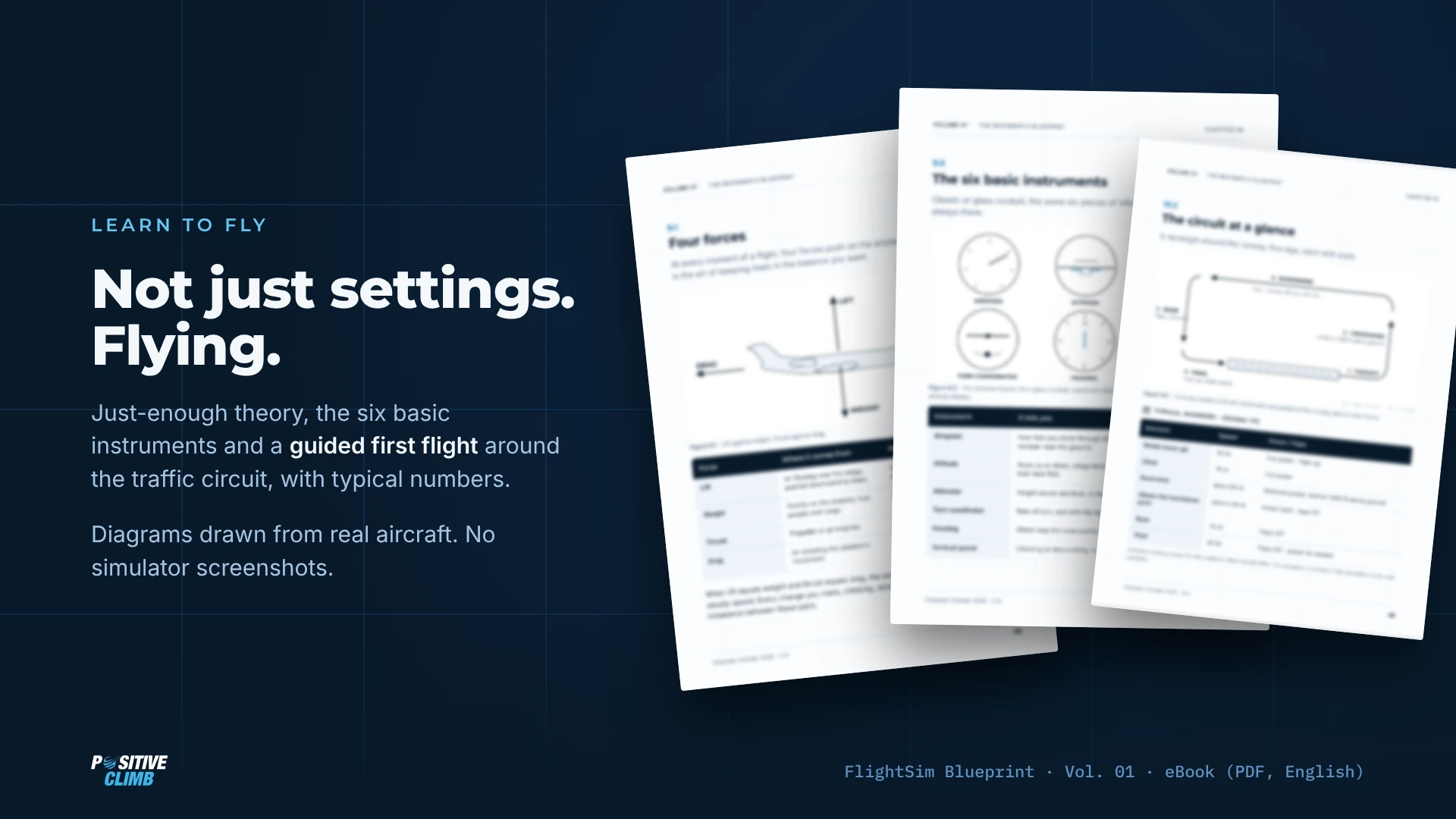 Sample pages: the four forces, the six basic instruments and a guided first flight.